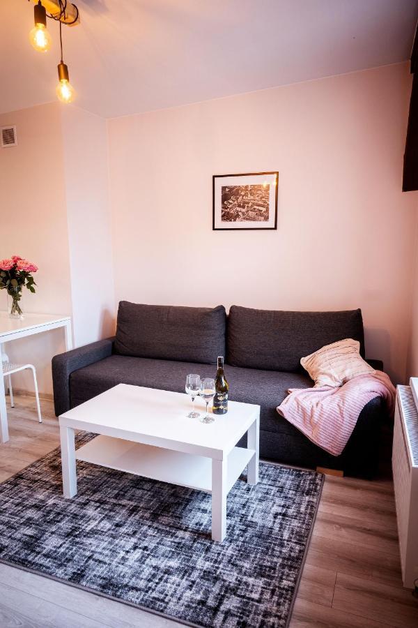 Apartament Just Smile Olsztyn  Zewnętrze zdjęcie